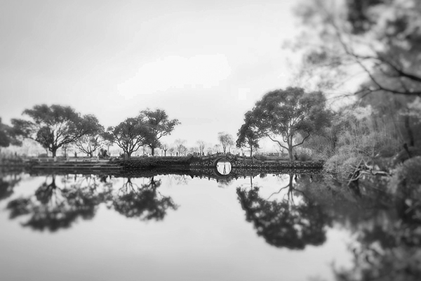 淡云 作品《游园》 (1).jpg