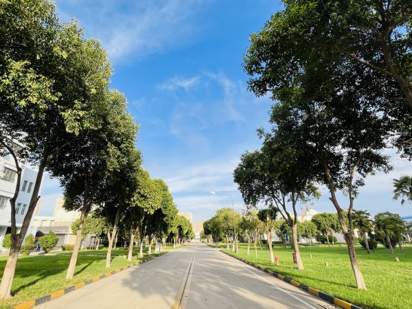 景观大道.jpg
