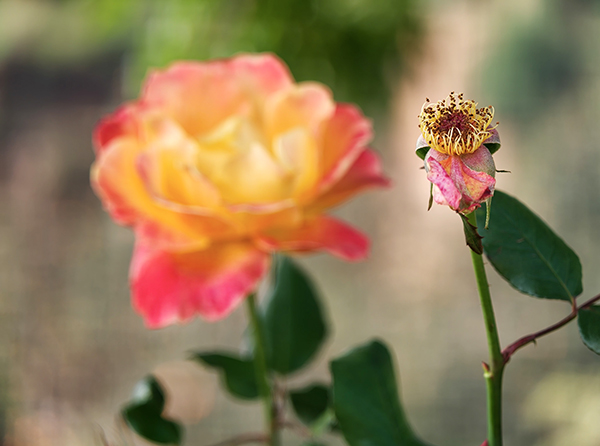 281761659819497126.jpg 1687ec671051ce237887b12cb46e9737   600.jpg