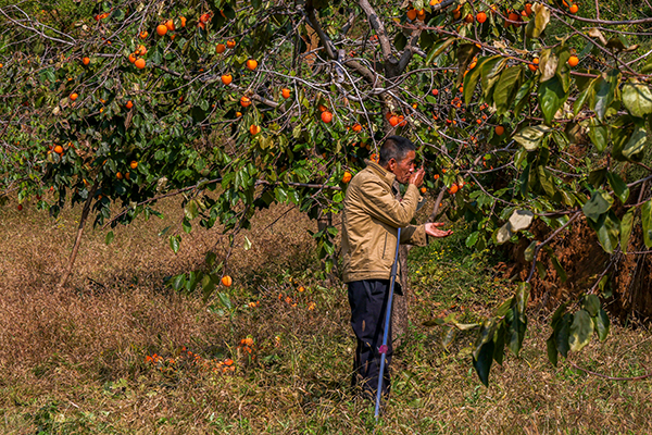 4E8A7312  副图.jpg