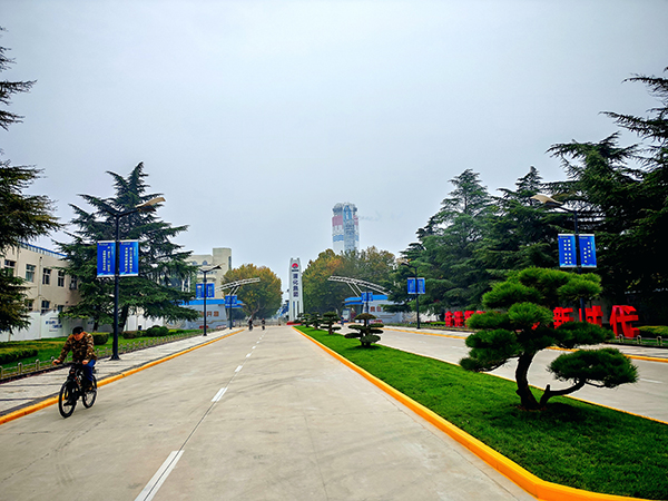 301761782620669970.jpg IMG_20251029_204457  600.jpg