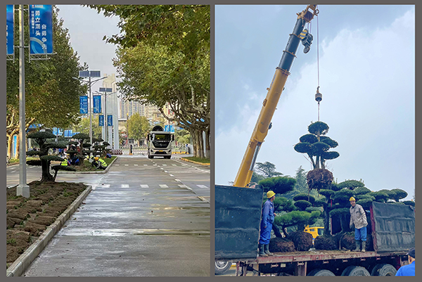 301761782642130799.jpg 6bf8166cbaeb5ad01ba04ae43a4f837b  副图  00   600.jpg