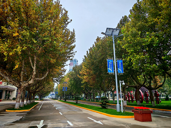 301761782666565187.jpg IMG_20251029_204533  600.jpg