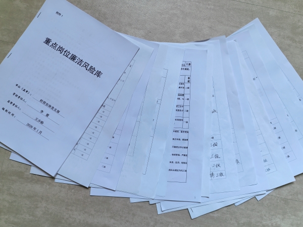 支部形成重点岗位风险库.jpg