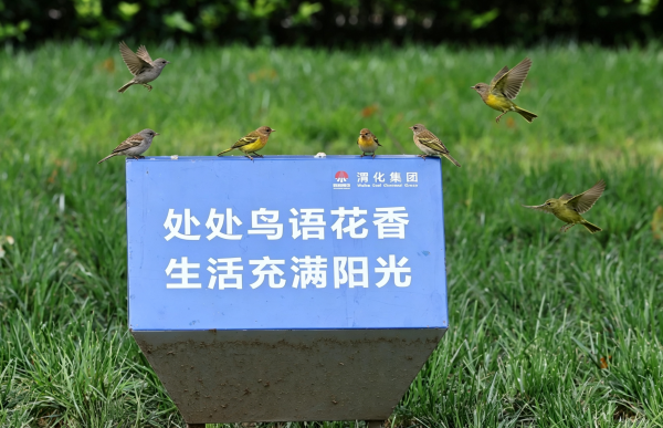 201789890210139074.png 微信图片_20260920110011_1213_5.png